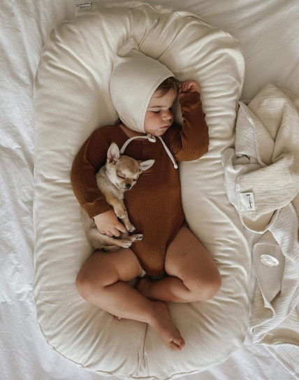 Bébé avec chihuahua